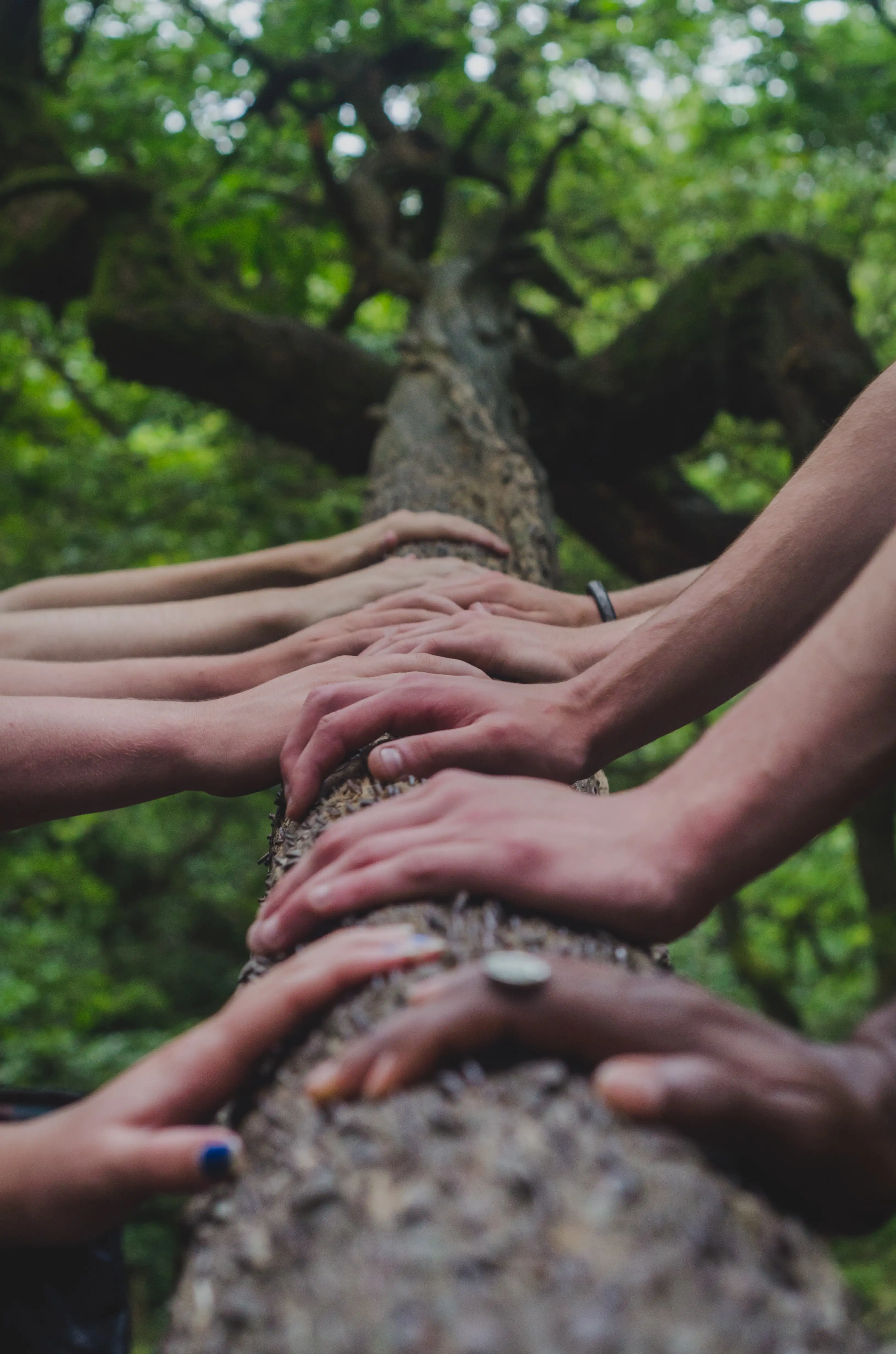 Benefits of partnerships